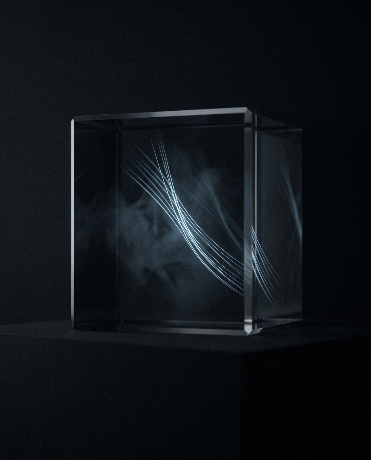 Filaments of cool light converging inside a dark glass cube